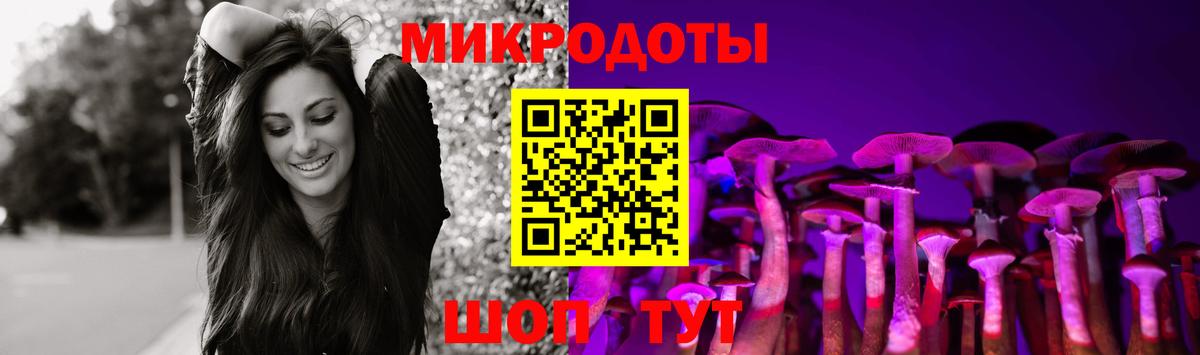 Галлюциногенные грибы GOLDEN TEACHER  купить закладку  Вход с VPN  Карабулак  Галлюциногенные грибы Cubensis 